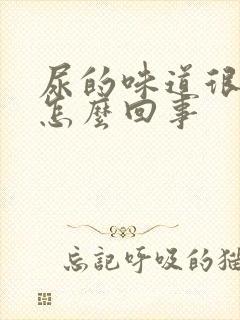 尿的味道很腥臭怎么回事