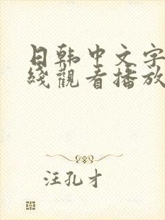 日韩中文字幕在线观看播放