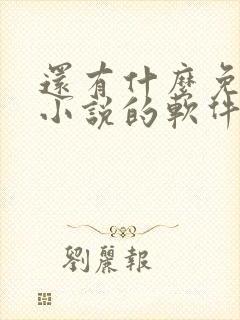 还有什么免费看小说的软件封面