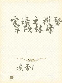 官场之权势滔天 宁欣林峰