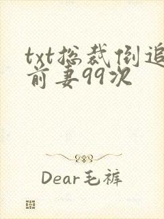 txt总裁倒追前妻99次封面
