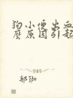 狗小便出血是什么原因引起的