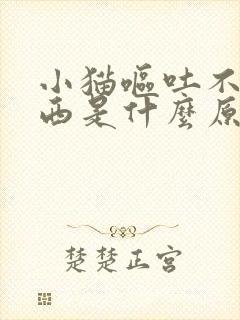 小猫呕吐不吃东西是什么原因