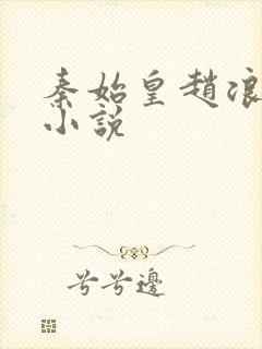 秦始皇赵浪穿越小说封面