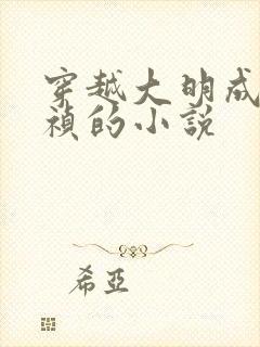 穿越大明成为崇祯的小说