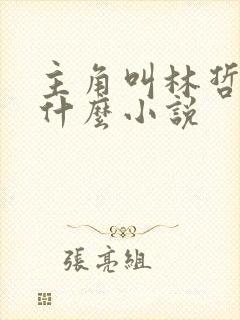 主角叫林哲的是什么小说