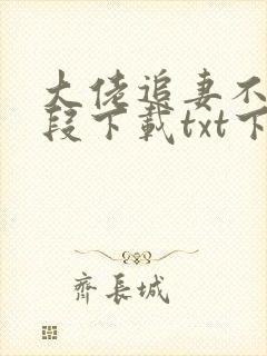 大佬追妻不择手段下载txt下封面