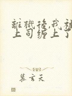 离职后,我被前上司缠上了