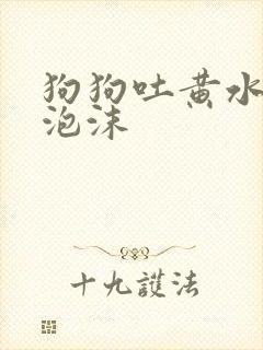 狗狗吐黄水是带泡沫