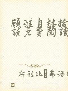 顾淮月林拾安小说免费阅读最新章节