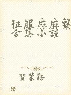 征服麻麻系列大合集小说