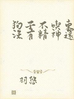 狗子不吃东西,没有精神还吐