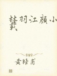 林羽江颜小说下载