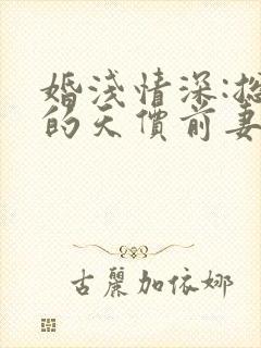 婚浅情深:总裁的天价前妻