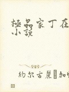 极品家丁在哪看小说