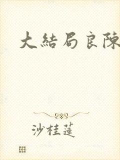 大结局良陈美锦