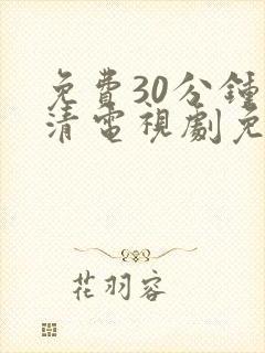 免费30分钟高清电视剧免费观看