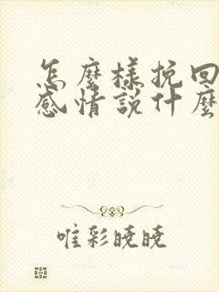 怎么样挽回一段感情说什么话封面