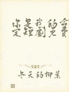 你是我的命中注定短剧免费观看封面