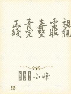 正青春电视剧在线完整版观看免费封面