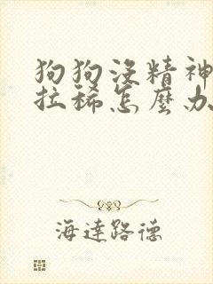 狗狗没精神呕吐拉稀怎么办