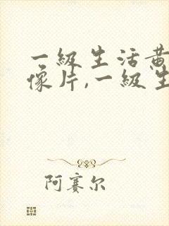 一级生活黄色录像片,一级生活黄色录像片