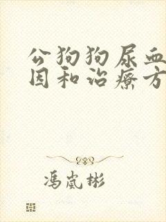 公狗狗尿血的原因和治疗方法