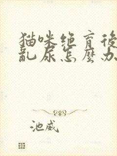 猫咪绝育后还是乱尿怎么办