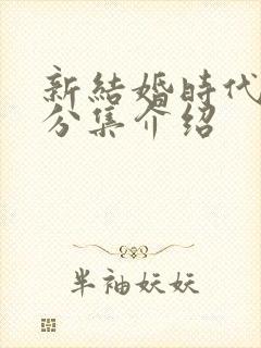 新结婚时代剧情分集介绍