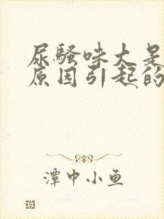 尿骚味大是什么原因引起的