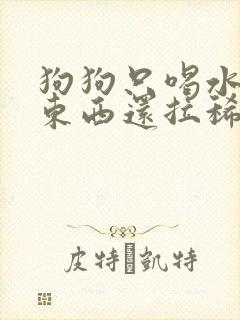 狗狗只喝水不吃东西还拉稀封面