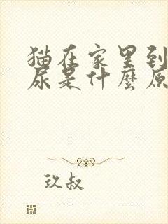 猫在家里到处乱尿是什么原因