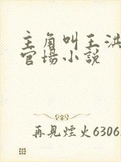 主角叫王洪涛的官场小说