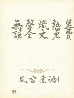 无声炽热慕义小说全文免费阅读