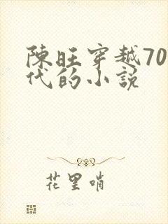 陈旺穿越70年代的小说