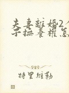 夫妻离婚2个孩子抚养权怎么判定