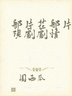 那片花那片海电视剧剧情封面