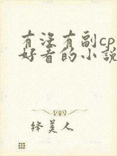 有没有副cp很好看的小说总裁文