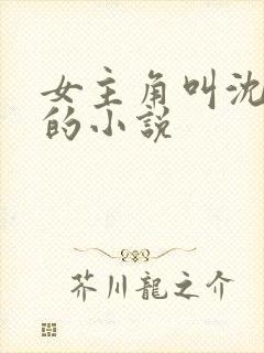 女主角叫沈清韵的小说