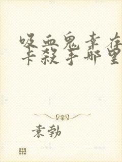 吸血鬼幸存者关卡杀手哪里最多封面