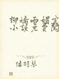 柳娇雨媚完结版小说免费阅读