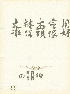 大林木命用什么微信头像好封面