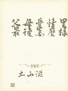 父母爱情里安欣最后怎么样了