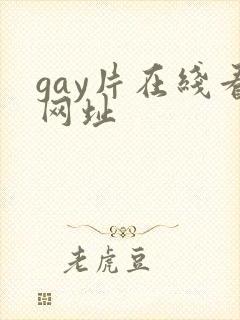 gay片在线看网址