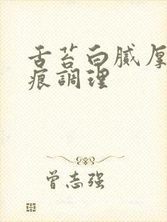 舌苔白腻厚有齿痕调理