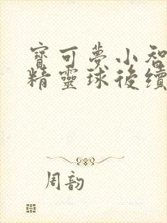 宝可梦小智神秘精灵球后续