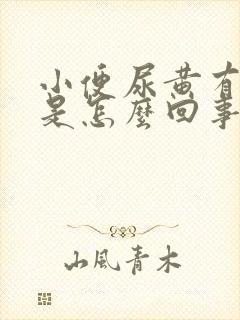 小便尿黄有异味是怎么回事