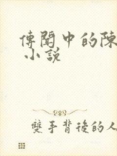 传闻中的陈芊芊 小说