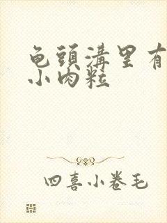 龟头沟里有一个小肉粒封面