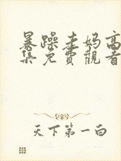 暴躁老妈高清全集免费观看